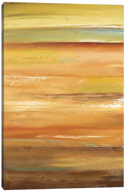 Sunrise II Canvas Art Print - Patricia Pinto
