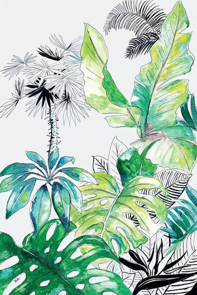 Patricia Pinto: Teal Palm Selva I by Patricia Pinto