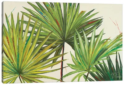 Arte Verde II Canvas Art Print - Tropical Décor