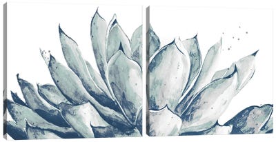 Blue Agave On White Diptych Canvas Art Print - Succulent Art