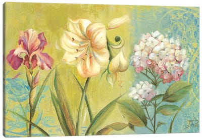 The Garden I Canvas Art Print - Hydrangea Art