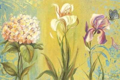 The Garden II by Patricia Pinto framed wall art