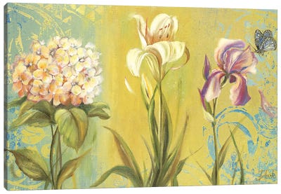The Garden II Canvas Art Print - Hydrangea Art