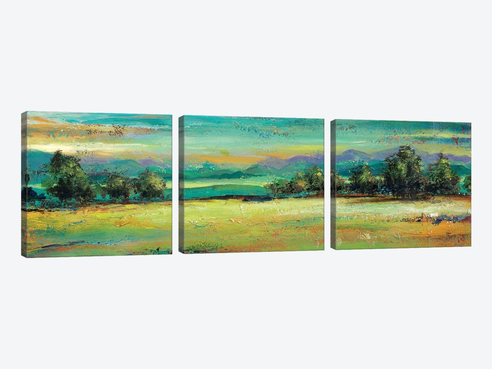 The Green Forest by Patricia Pinto 3-piece Canvas Wall Art