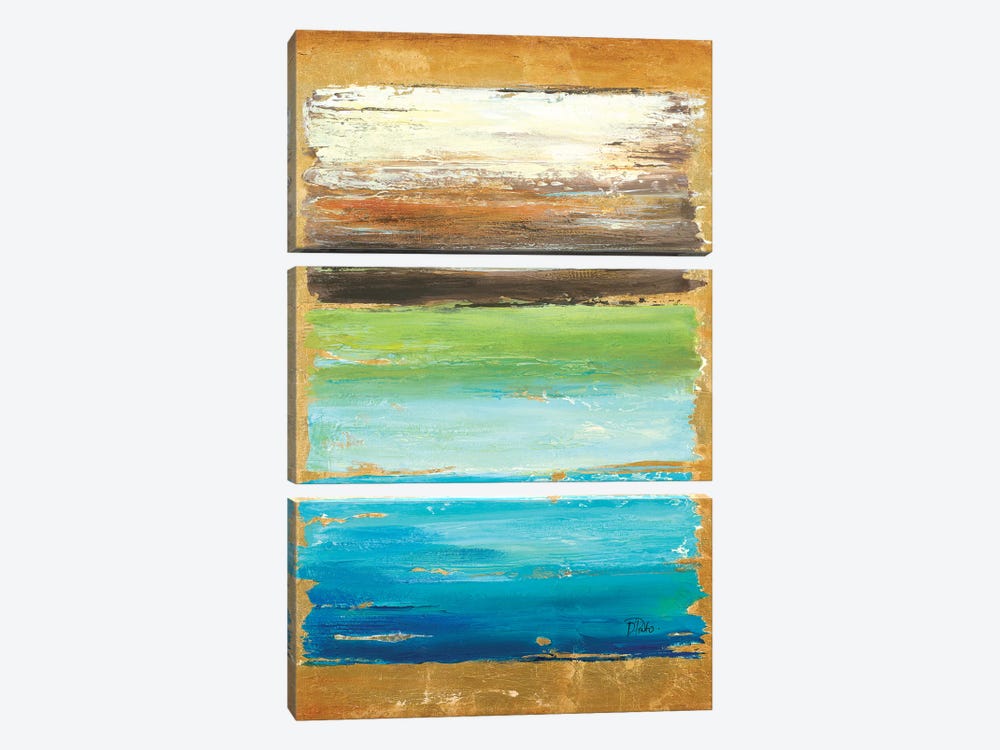 The Palette by Patricia Pinto 3-piece Canvas Print