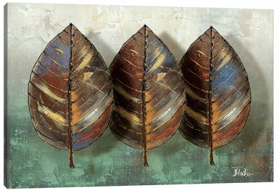 Three Amigos I Canvas Art Print - Patricia Pinto