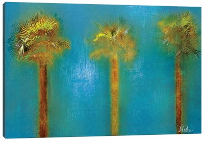 Three Palms I Canvas Art Print - Patricia Pinto