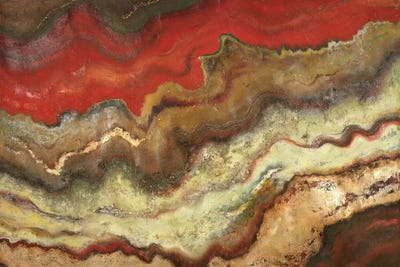 Tierra by Patricia Pinto canvas print