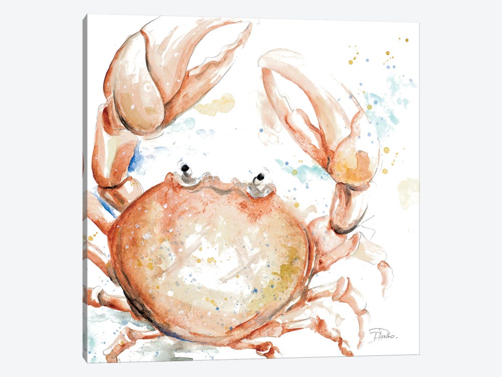 Water Crab by Patricia Pinto 1-piece Canvas Art Print