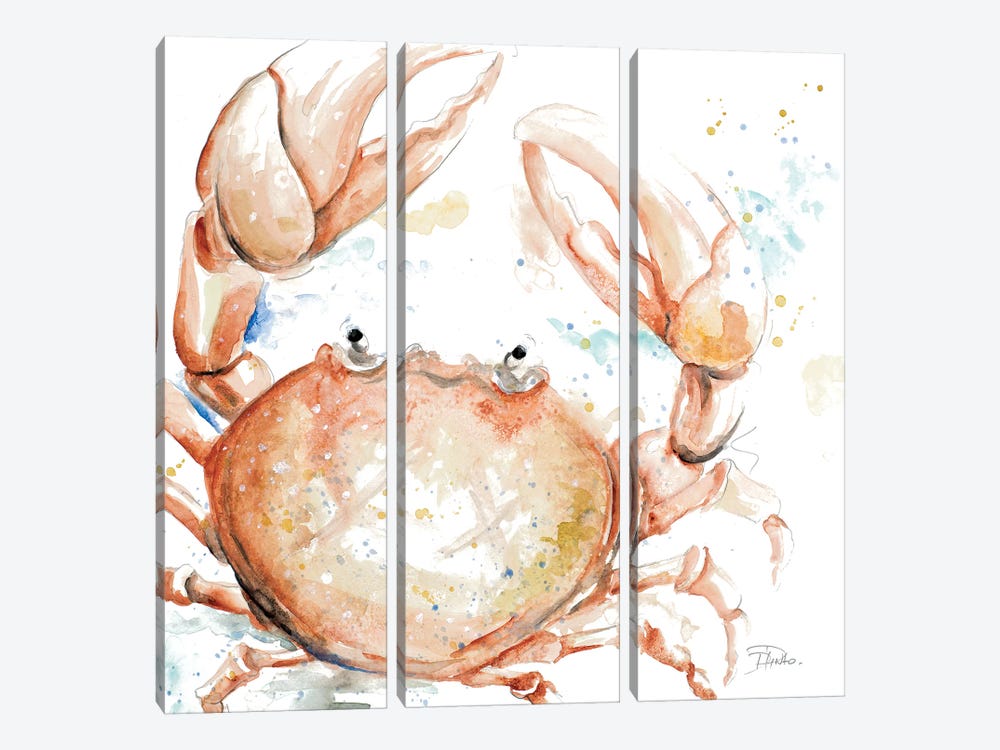 Water Crab by Patricia Pinto 3-piece Canvas Art Print