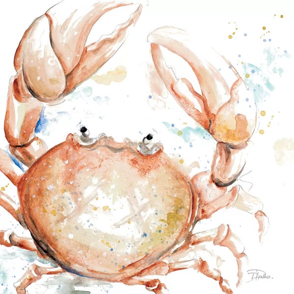 Patricia Pinto: Water Crab by Patricia Pinto