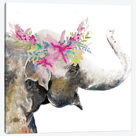 Water Elephant with Flower Crown Canvas Print #PPI330} by Patricia Pinto Canvas Art