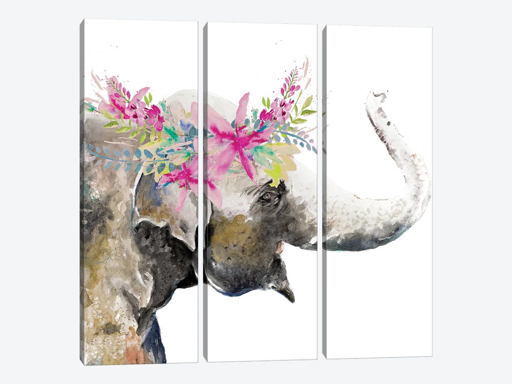 Water Elephant with Flower Crown by Patricia Pinto 3-piece Canvas Wall Art