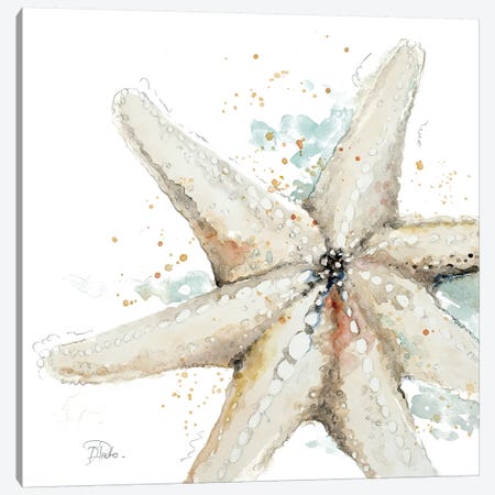Water Starfish Canvas Print #PPI332} by Patricia Pinto Canvas Artwork