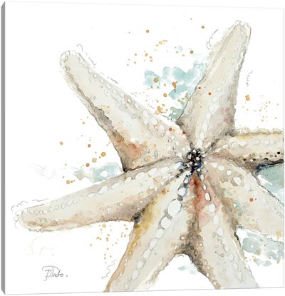 Water Starfish Canvas Art Print - Coastal Living Room Art