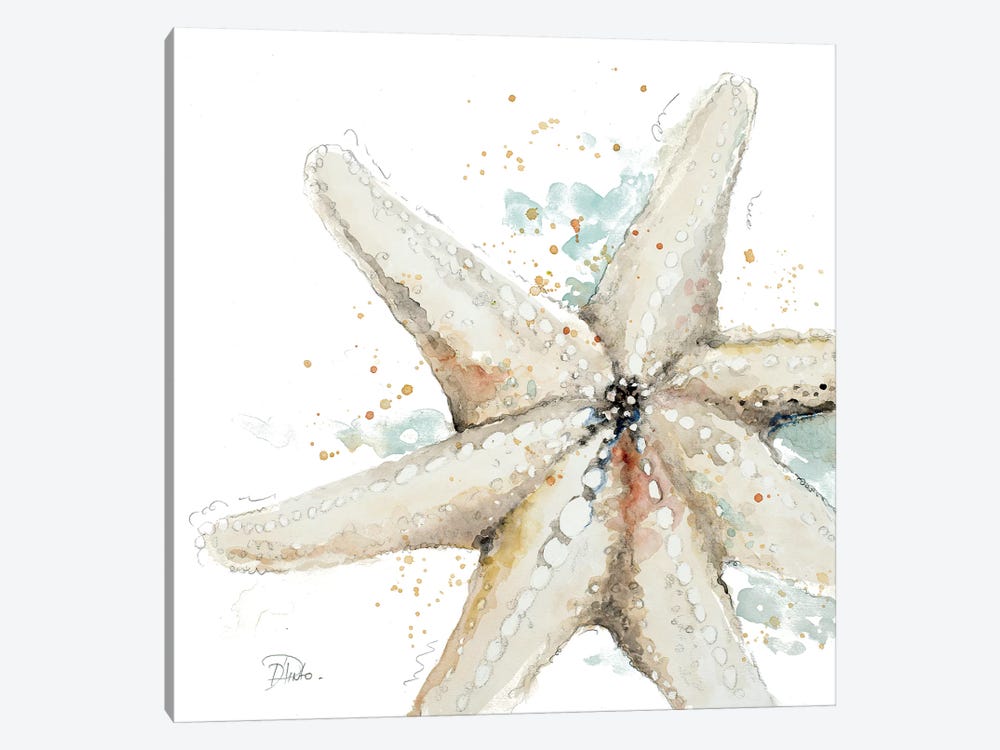 Water Starfish by Patricia Pinto 1-piece Canvas Artwork