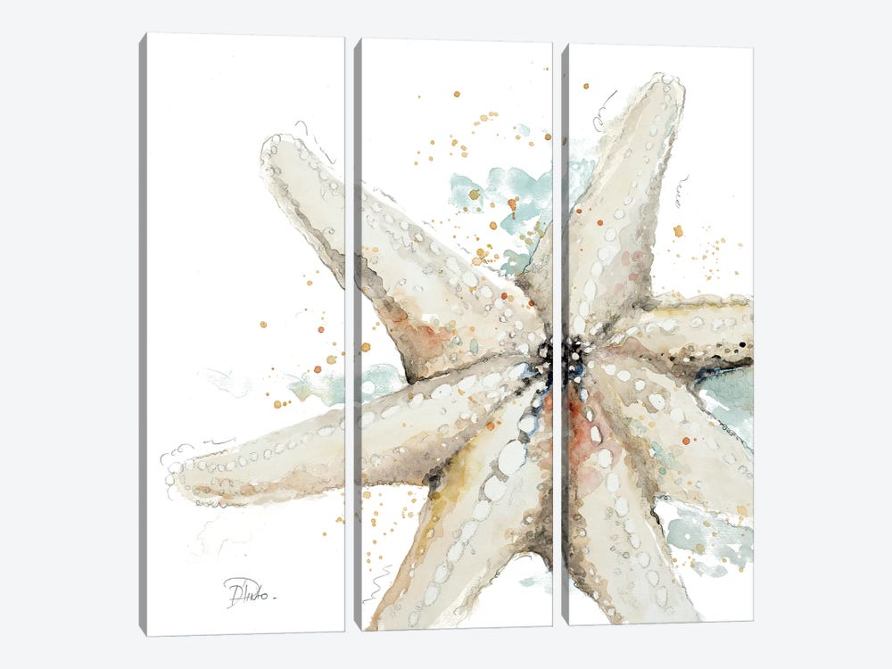 Water Starfish by Patricia Pinto 3-piece Canvas Artwork