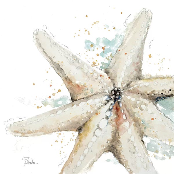 Patricia Pinto: Water Starfish by Patricia Pinto