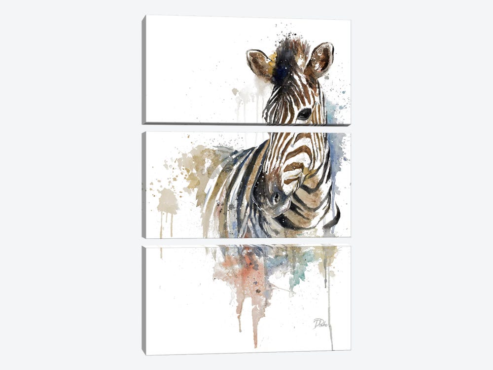 Water Zebra by Patricia Pinto 3-piece Art Print