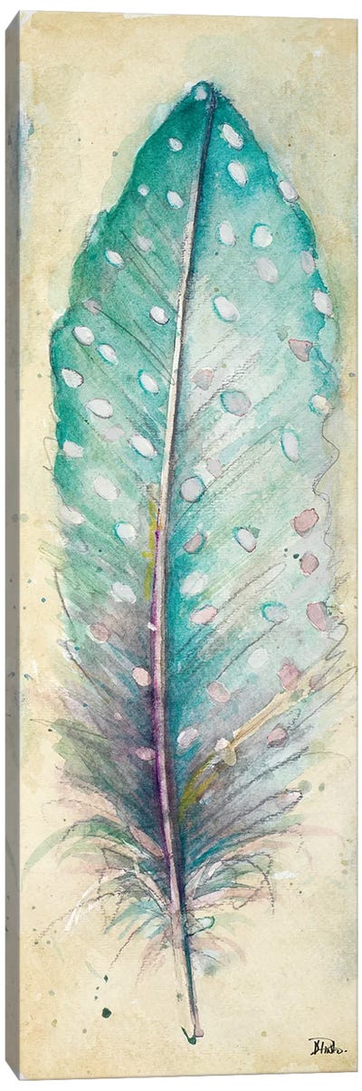 Watercolor Feather I Canvas Art Print - Patricia Pinto