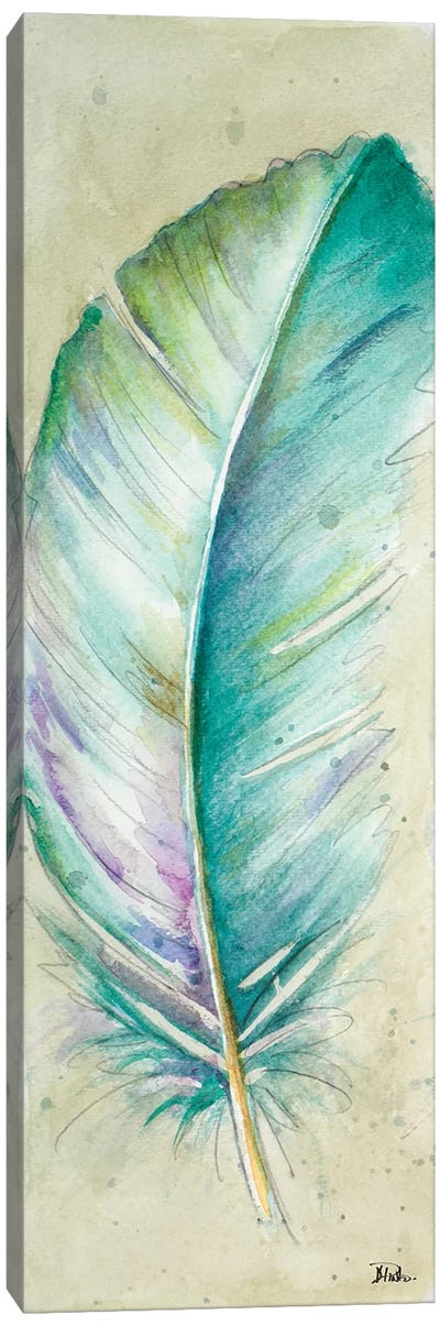 Watercolor Feather II Canvas Art Print - Patricia Pinto