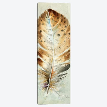 Watercolor Feather III Canvas Print #PPI338} by Patricia Pinto Canvas Wall Art