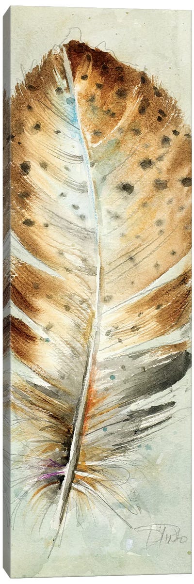 Watercolor Feather III Canvas Art Print - Feather Art