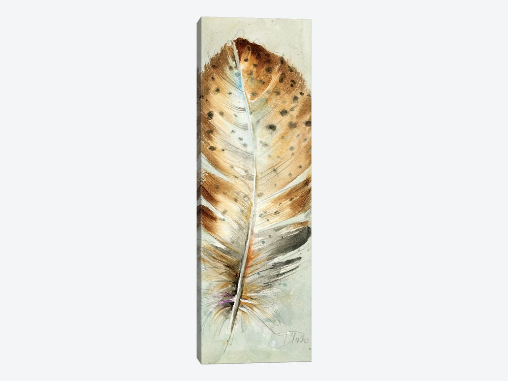 Watercolor Feather III by Patricia Pinto 1-piece Canvas Wall Art