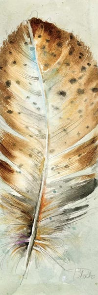 Feathers: Watercolor Feather III by Patricia Pinto
