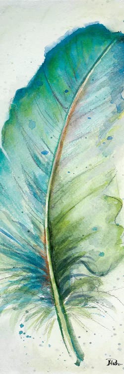 Watercolor Feather IV