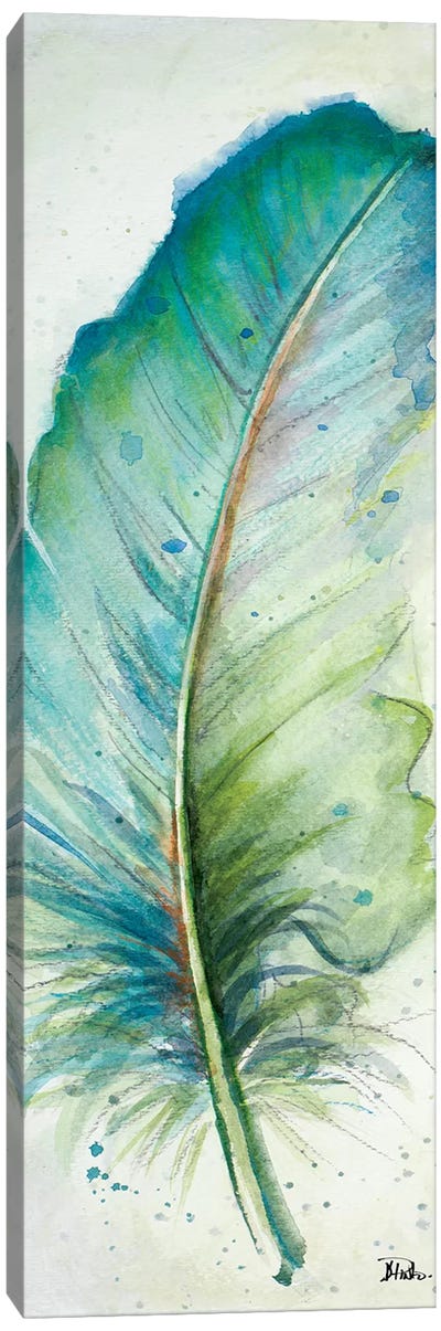 Watercolor Feather IV Canvas Art Print - Patricia Pinto