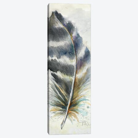 Watercolor Feather VI Canvas Print #PPI340} by Patricia Pinto Canvas Print