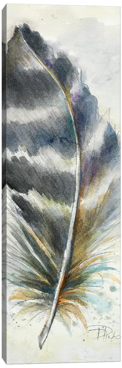 Watercolor Feather VI Canvas Art Print - Patricia Pinto