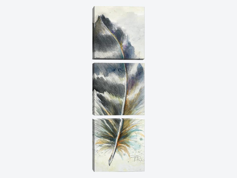 Watercolor Feather VI by Patricia Pinto 3-piece Canvas Art Print
