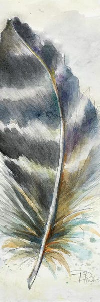 Feathers: Watercolor Feather VI by Patricia Pinto