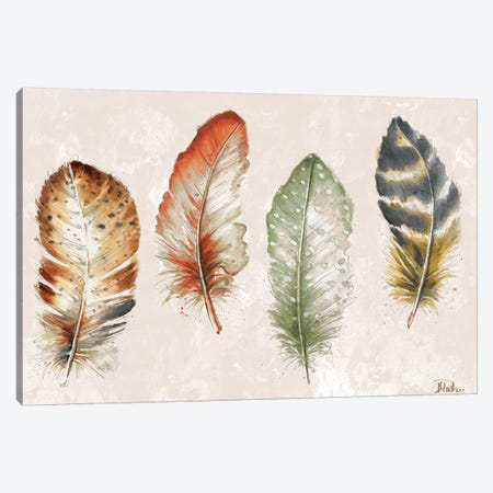 Watercolor Feathers Canvas Print #PPI341} by Patricia Pinto Canvas Art Print