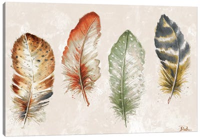 Watercolor Feathers Canvas Art Print - Feather Art