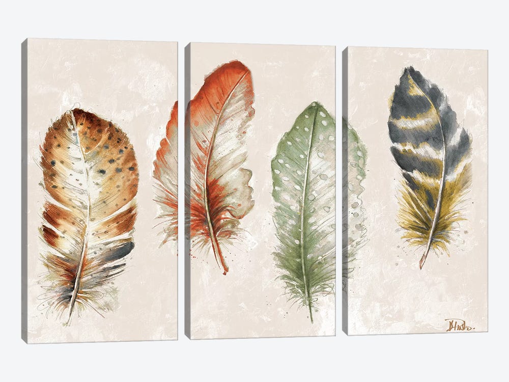 Watercolor Feathers by Patricia Pinto 3-piece Canvas Artwork