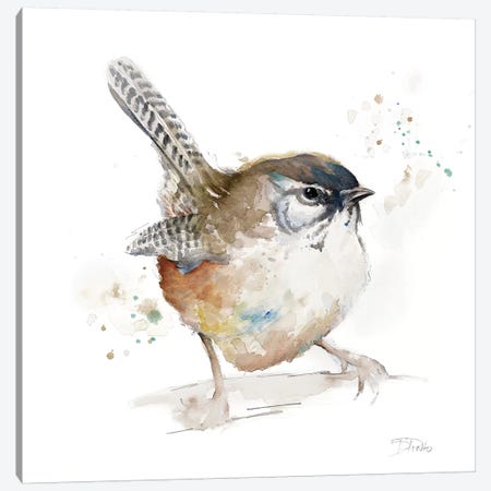 Watercolor Mountain Bird I Canvas Print #PPI342} by Patricia Pinto Art Print