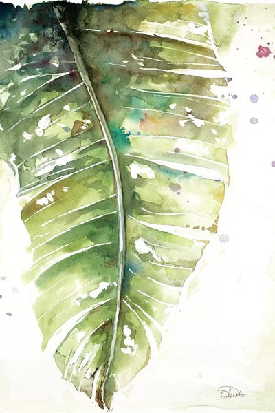 Watercolor Plantain Leaves I by Patricia Pinto framed wall art