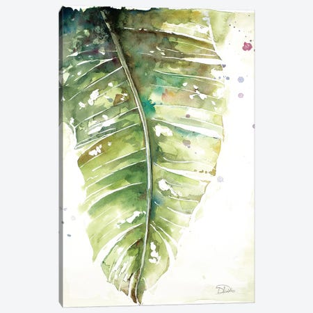 Watercolor Plantain Leaves I Canvas Print #PPI345} by Patricia Pinto Canvas Art