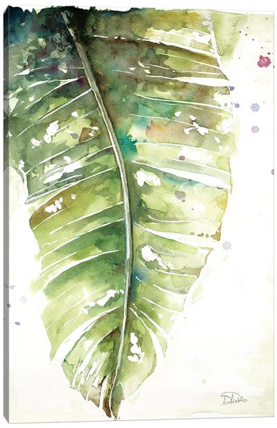 Watercolor Plantain Leaves I Canvas Art Print - Patricia Pinto