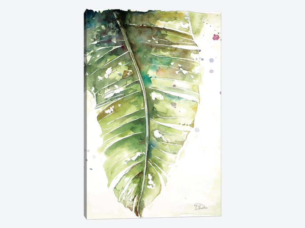 Watercolor Plantain Leaves I by Patricia Pinto 1-piece Canvas Artwork