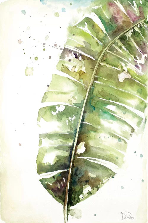 Watercolor Plantain Leaves II