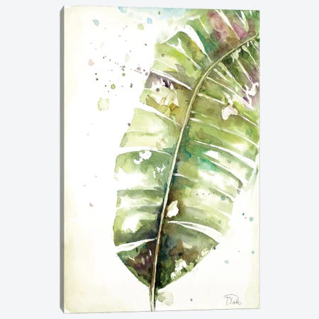 Watercolor Plantain Leaves II Canvas Print #PPI346} by Patricia Pinto Canvas Wall Art