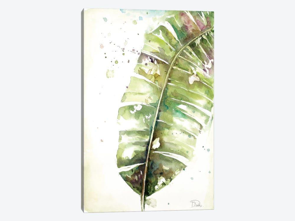 Watercolor Plantain Leaves II by Patricia Pinto 1-piece Canvas Print