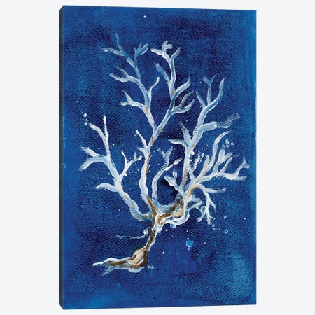 White Corals I Canvas Print #PPI349} by Patricia Pinto Art Print