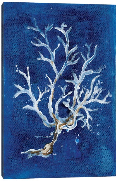 White Corals I Canvas Art Print - Blue Art