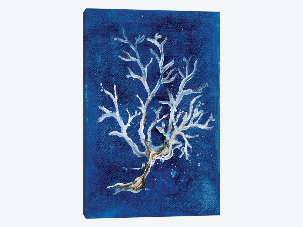 White Corals I by Patricia Pinto 1-piece Canvas Art