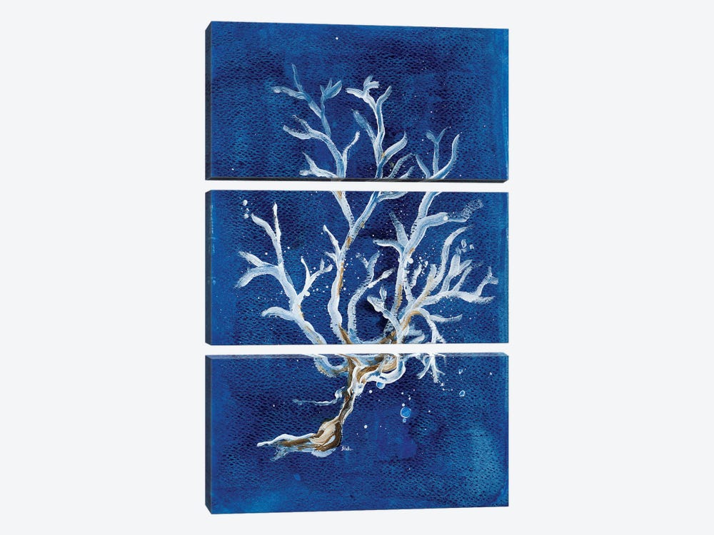 White Corals I by Patricia Pinto 3-piece Canvas Art